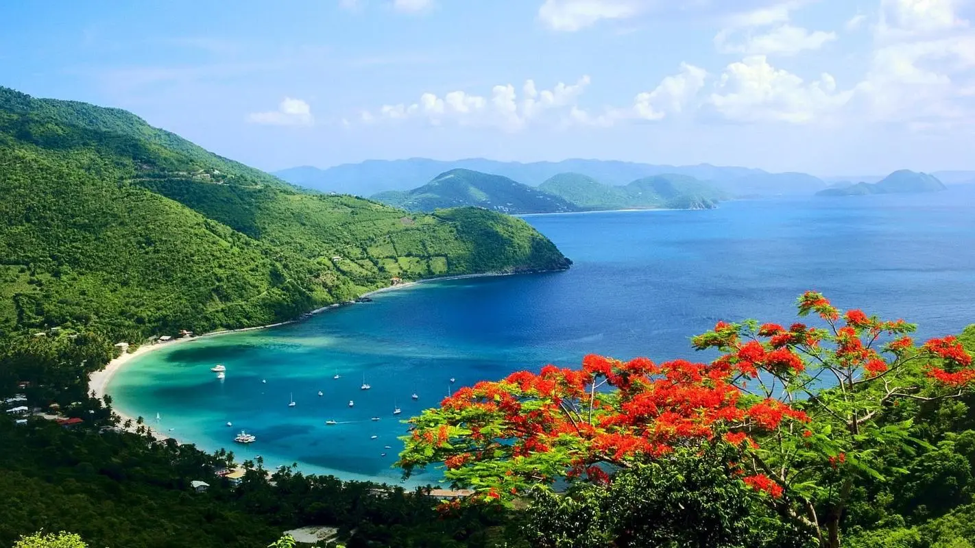 智能信息化独特